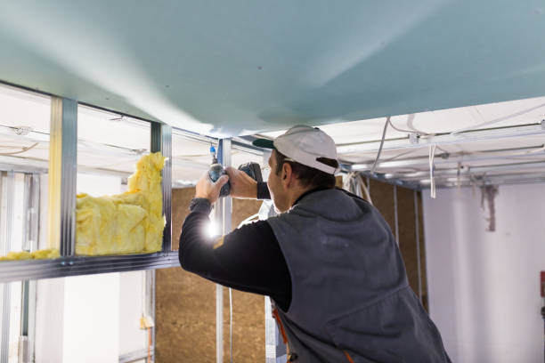 Best Eco-Friendly Insulation in Tonopah, NV