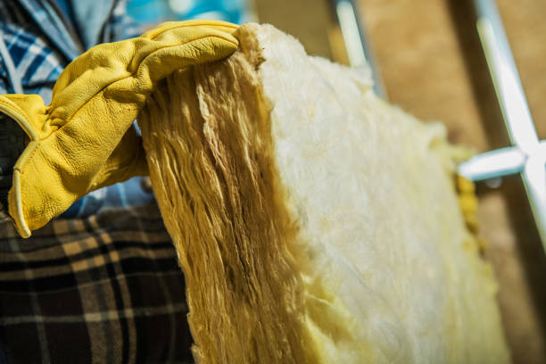 Best Blown-in Insulation in Tonopah, NV