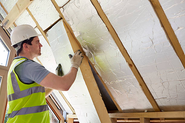 Best DIY Insulation Kits and Guidance in Tonopah, NV